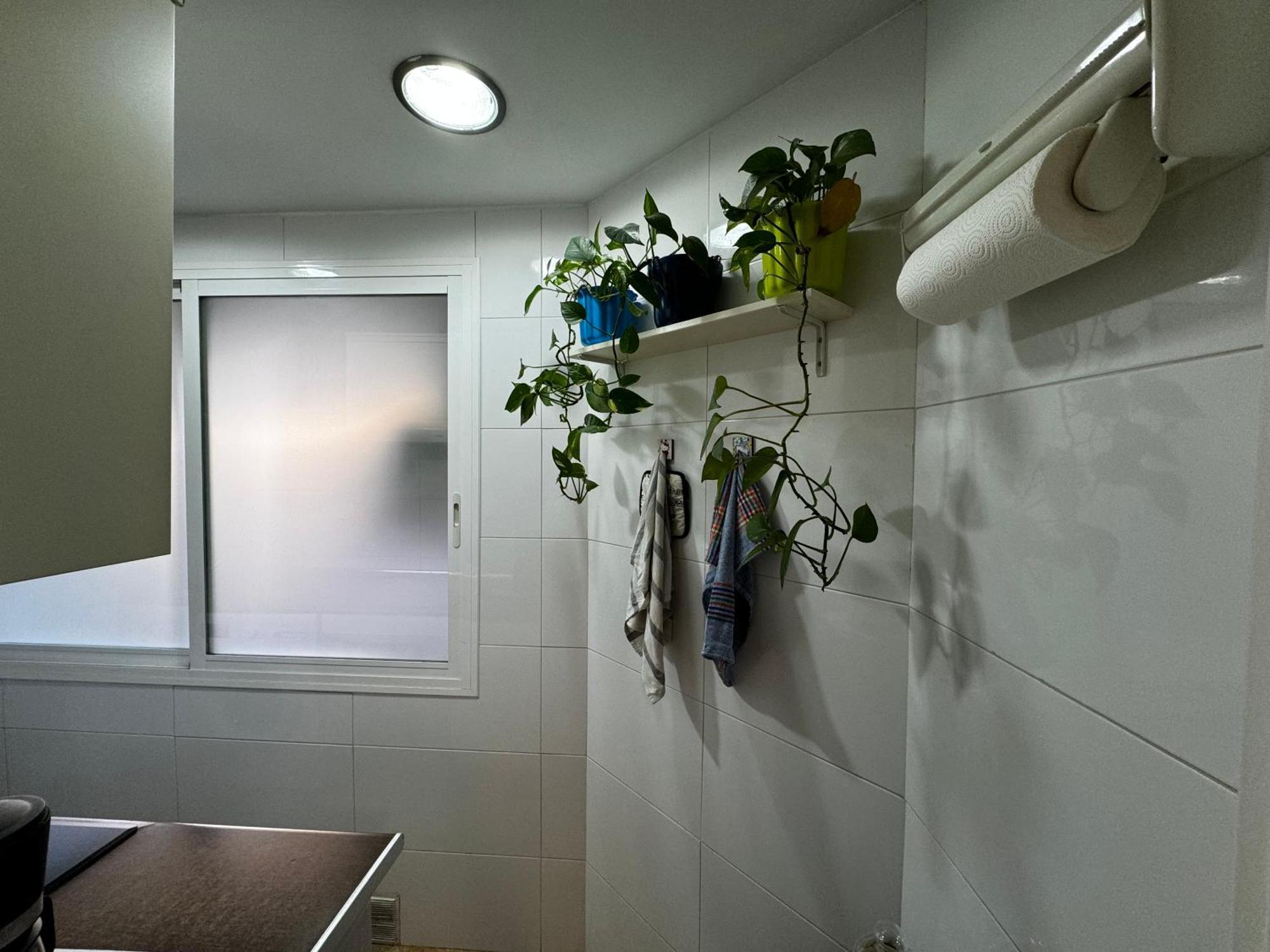 Apartmán Russafa Codrut Valencie Exteriér fotografie